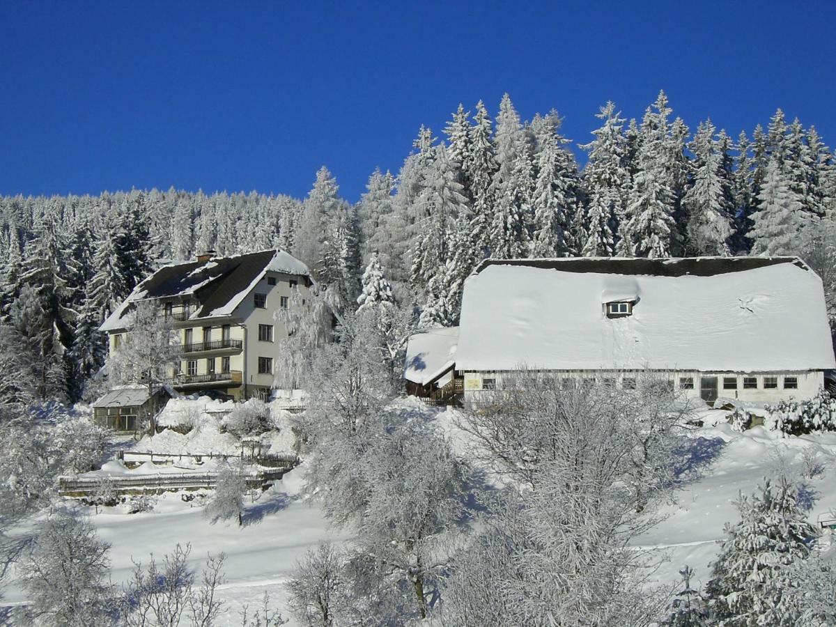 ザンクト・ヤーコプ・イム・ヴァルデ Urlaub Am Bauernhof Grabenhoferヴィラ エクステリア 写真