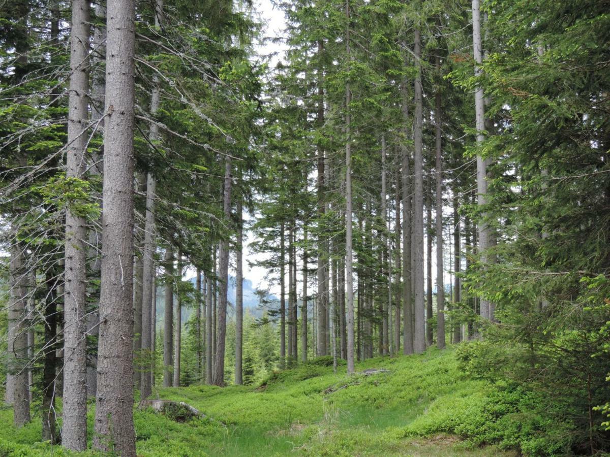 ザンクト・ヤーコプ・イム・ヴァルデ Urlaub Am Bauernhof Grabenhoferヴィラ エクステリア 写真
