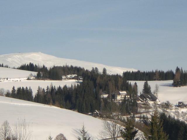 ザンクト・ヤーコプ・イム・ヴァルデ Urlaub Am Bauernhof Grabenhoferヴィラ エクステリア 写真