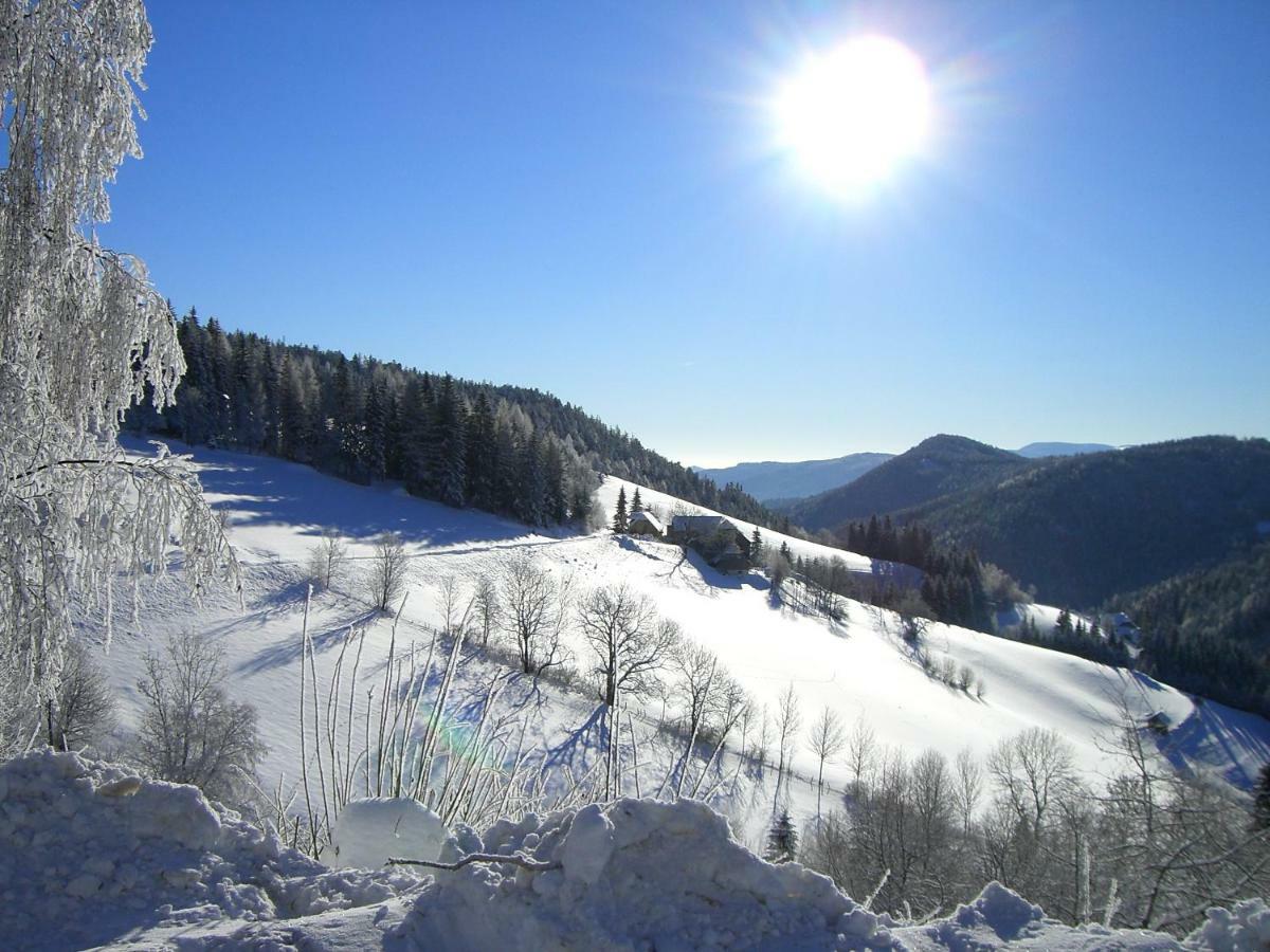 ザンクト・ヤーコプ・イム・ヴァルデ Urlaub Am Bauernhof Grabenhoferヴィラ エクステリア 写真